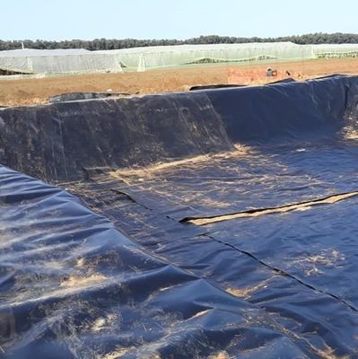 Geomembrana de HDPE de longa duração para revestimento de lagoas de design asiático em outras regiões