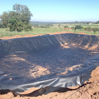 0.5 mm 0,75 mm Geomembrana Hdpe Filme de Estufas para Aquicultura