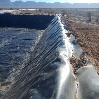 Tamanho do rolo de geomembrana do forro de lago da exploração de peixes em HDPE para uma prevenção eficaz de fugas