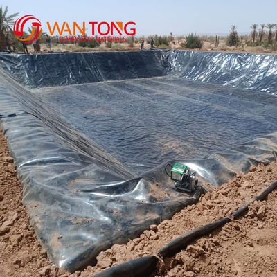Estilo de Design Moderno 1mm HDPE Geomembrane Liner Personalizado para Soluções de revestimento de túneis