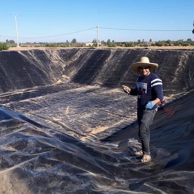 Geomembrana de plástico HDPE de 1 mm para projeto tradicional no revestimento circular do tanque de peixe