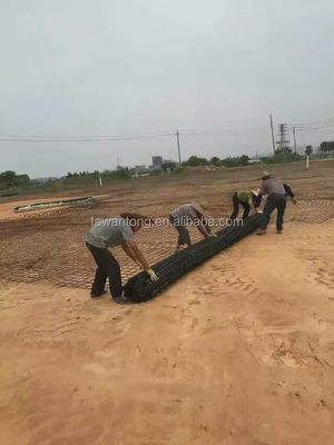 Filipinas Geogrid de fibra de vidro Composite Geotextile Pavimento Geogrid para galpão de garagem
