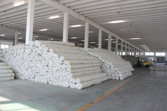 Filipinas Geogrid de fibra de vidro Composite Geotextile Pavimento Geogrid para galpão de garagem