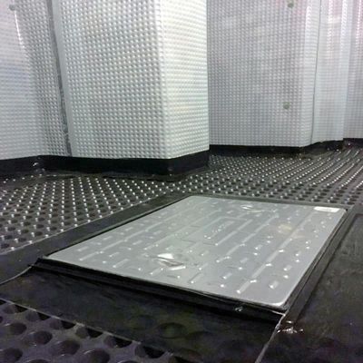 Biassiais Poliéster Geogrid 80-80 PET para solidificação de estrada 0.2mm-4mm espessura