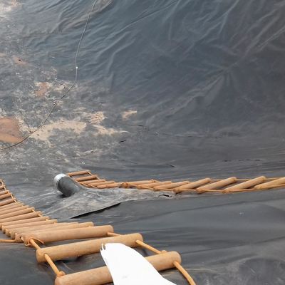 LDPE LLDPE HDPE Plastic Piscinas de peixe impermeabilização Membrana 0,5 mm HDPE Geomembrana folha m2