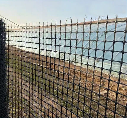 Grelha geográfica biaxial preta normal essencial para a criação de galinhas vedação de plástico no leito da estrada