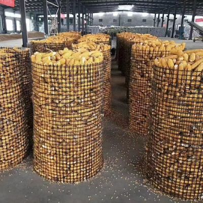Grelha geográfica de poliéster tecido para proteção de pavimentos e encostas Espessura 0,2 mm-4 mm Padrão ISO