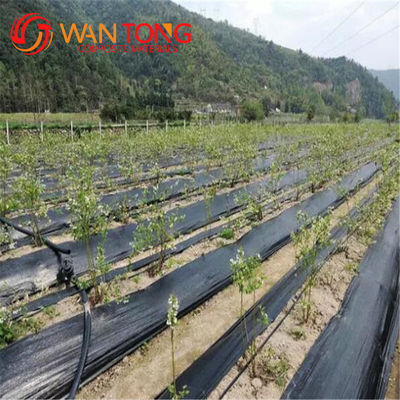 200G/M2 Anti-UV Jardim de ervas daninhas PP Geotextil tecido para cobertura do solo e construção