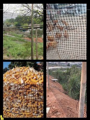 Cercas de reprodução de frangos e gansos com grelha geográfica biaxial reforçada certificadas CE/ISO9001