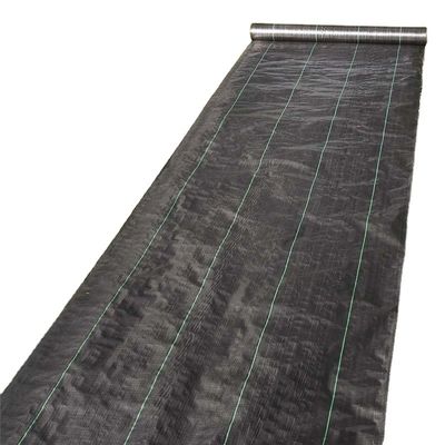 Construção Preto Branco Amarelo Cor PP Tecido Geotextil comprimento 50-100m/rolo a pedido