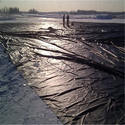 Estilo de Design Contemporâneo Índia Geomembrana de HDPE fabricada 1 mm para revestimento de lagoa de peixe