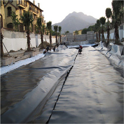 Estilo de Design Contemporâneo Índia Geomembrana de HDPE fabricada 1 mm para revestimento de lagoa de peixe