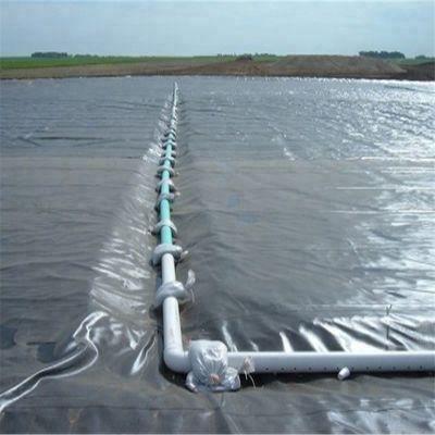 Estilo de Design Contemporâneo Índia Geomembrana de HDPE fabricada 1 mm para revestimento de lagoa de peixe