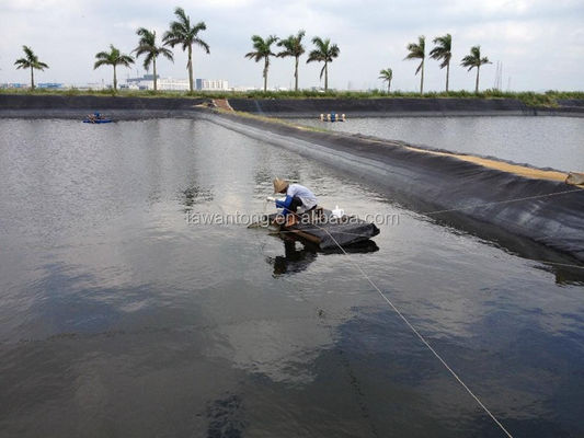 Geomembranas para tanques de peixe 2 mm preto impermeável HDPE plástico Instalação no local