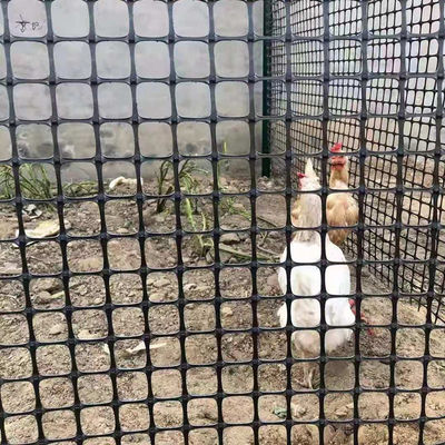 Estilos de design chinês vedação geogrid biaxial para carregamento de carregamento de carregamento de carregamento