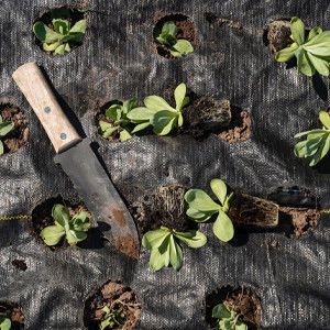 Tapete de paisagem de geotextil tecido para proteção de plantas e design de paisagem contemporâneos