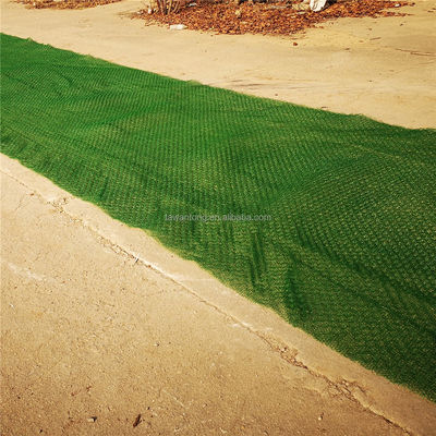 Geomat 2m HDPE para proteção de encostas e controle da erosão da grama A escolha do comprador B2B