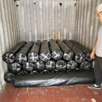 50-50 kn Geogrid de poliéster/ PET Geogrid para reforço de margens de rios