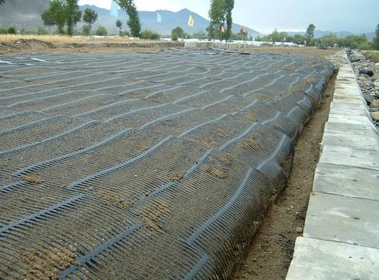 1m Largura de rolo Design asiático PE rede de vedação uniaxial Geogrid para reforço de estrada