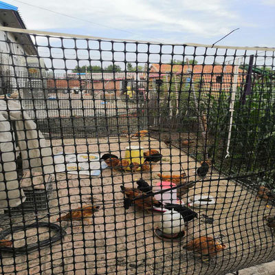 Material de polipropileno 15kn Grelha de vedação agrícola Geogrid para aplicações agrícolas