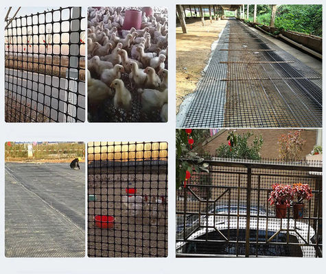 Material de polipropileno 15kn Grelha de vedação agrícola Geogrid para aplicações agrícolas