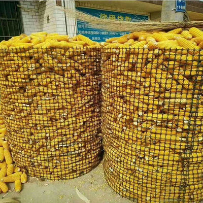 Material de polipropileno 15kn Grelha de vedação agrícola Geogrid para aplicações agrícolas