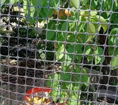 Rede de plástico geogrid bidireccional preta para recinto de frango e pato no armazém