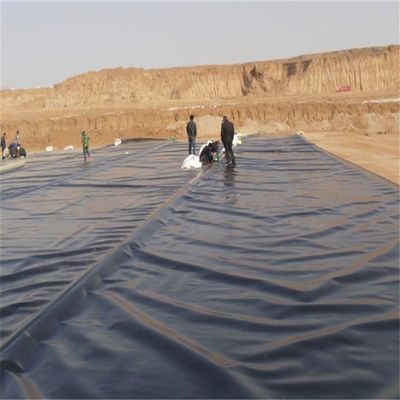 Geomembrana de HDPE para Peixe Prawn Farm e Proteção de Barragem Geosintéticos a preços acessíveis