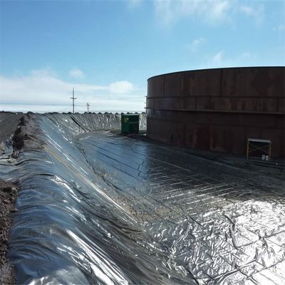 Geomembrana de HDPE para Peixe Prawn Farm e Proteção de Barragem Geosintéticos a preços acessíveis