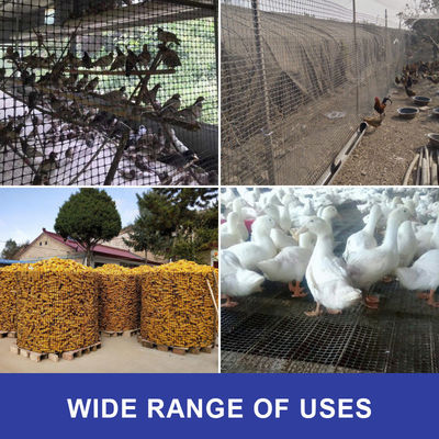 CE/ISO9001 Certificado PP Bi-Axial Geogrid para Cercas de Engenharia Civil Resistentes à Corrosão