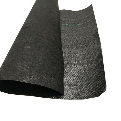 PP Alta resistência à tração 70GSM-400GSM Geotextil tecido para controle de ervas daninhas do jardim de mirtilos