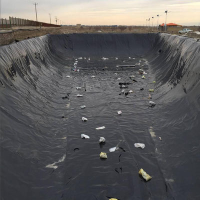 0.75mm 1mm HDPE Peixe Camarão Pecuária Poço Geomembrana Liner com e Instalação no local