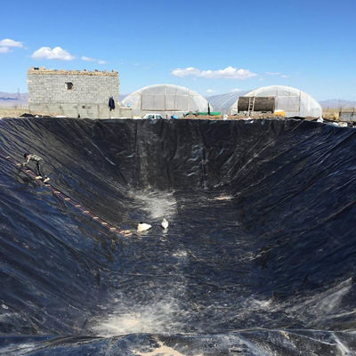 Estilo de Design Contemporâneo 40mil ou 1mm Geomembrana Limpa HDPE Liner de Lagoa Treinamento no local