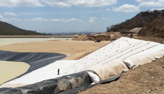 Liner de argila geossintética Gcl profissional para o projeto de mineração de lagos de barragens de aterros