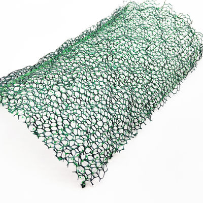 Certificado CE/ISO9001/ISO14001 Rede de vegetação 3D de plástico Paver de grama Geonet para proteção de encostas
