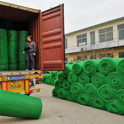 Certificado CE/ISO9001/ISO14001 Rede de vegetação 3D de plástico Paver de grama Geonet para proteção de encostas