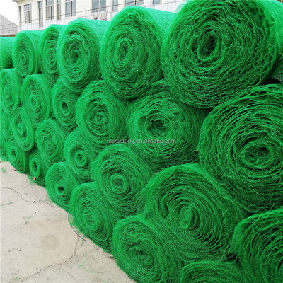 Certificado CE/ISO9001/ISO14001 Rede de vegetação 3D de plástico Paver de grama Geonet para proteção de encostas