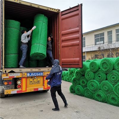 Matas de controle de erosão de geomat 3D HDPE de design chinês para proteção de inclinação Em2 Em3 Em4 Em5