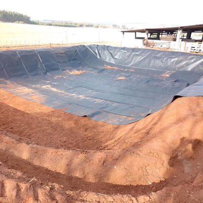Shandong Geomembrana HDPE 0,5 mm para lago Liner Peixe Farms Pound Pool Deponimento