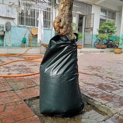 Sistema de irrigação por gotejamento em sacos de irrigação de árvores Economia de água e apoio ao desenvolvimento das raízes