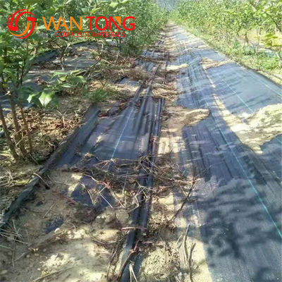 40gm-230gm Agricultura Tecido de cobertura de solo de PP para controle de ervas daninhas no jardim de morangos