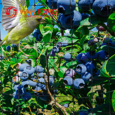 Retalhos de jardim de vegetais em PP ou HDPE Retalhos de protecção contra aves com certificado CE ISO