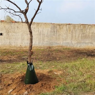 Saco de rega de liberação lenta verde escuro para árvores 250-3500 gramas