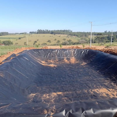 GB/ASTM GRI-GM13 Padrão 0.5mm Geomembrane Fish Tank Liner em Design Contemporâneo