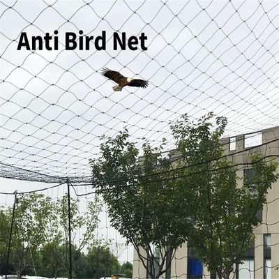 Malha de rede anti-pássaro para frango no jardim de pomares vinha BOP PP de plástico 2cm malha