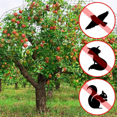 Proteja o seu jardim com uma rede de corte de plástico Agricultura Rede anti-aves UV 25g/m2