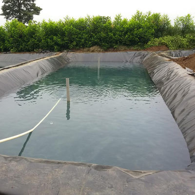 GB/ASTM GRI-GM13 Forro de geomembrana em HDPE padrão para material de impermeabilização de piscicultura