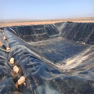 Liner de geomembrana de polietileno de plástico para lago de peixe