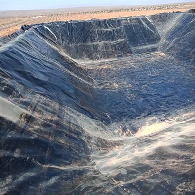 Liner de geomembrana de polietileno de plástico para lago de peixe