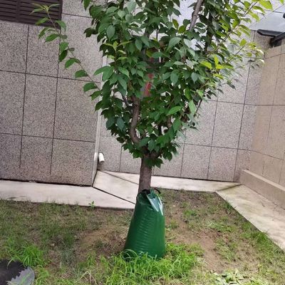 Verde 2 embalagens 15 galões de liberação lenta Irrigação automática por gotejamento Saco de irrigação de árvores CE/ISO aprovado